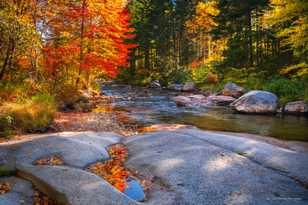 Jefferson Brook-9714.jpg Jefferson Brook-9714.jpg